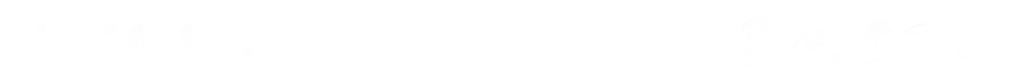 WCAG 2.1 w